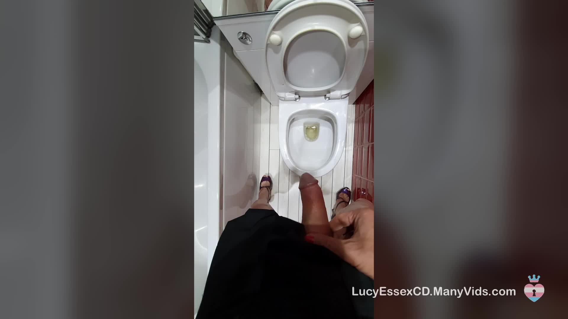 Sissy Lucy POV Piss and wanking in the bathroom